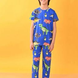 Anthrilo Kids Blue Cotton Printed T-Shirt & Trouser-picture-25