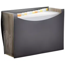 GENERIC Black Expanding Folder File for A4 Paper with 13 Pockets-20