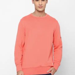 American Eagle Pink Regular fit Print Sweatshirt-image-38