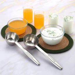 HAZEL Silver Stainless Steel Ladle with Handle - Set of 2-44