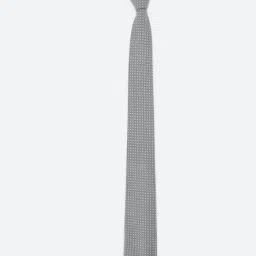 Peter England Grey Printed Tie-picture-23