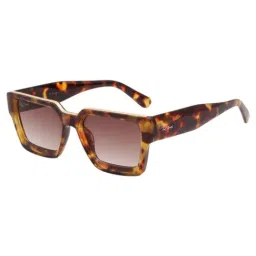 Ted Smith Brown Square UV Protection Unisex Sunglasses-picture-24