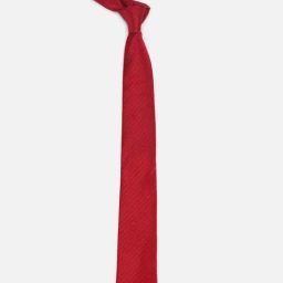 Allen Solly Red Textured Tie-picture-28