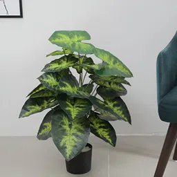 ARICK DECOR Green 1 Pieces Diffenbachia Artificial Plant With Pot-image-93