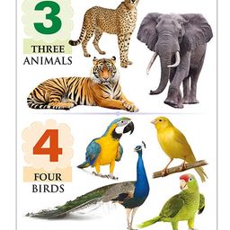 Sawan My First Board Book Numbers - English image 3