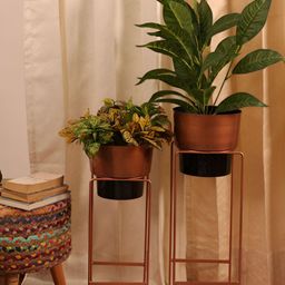 THREADVIBE LIVING Set Of 2 Black & Brown Modern Plant Pot-58