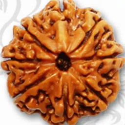 RAVIOUR LIFESTYLE Girls BrownJewellery Set-image-12