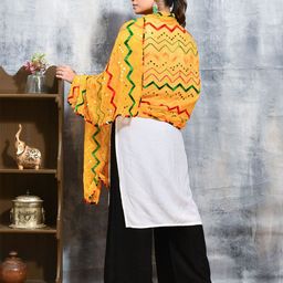 swatika Geometric Embroidered Thread Work Chiffon Dupatta image 5