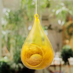 Hanging Transparent Glass Bird House with Coir Nest for Balcony, Garden Bird House-19