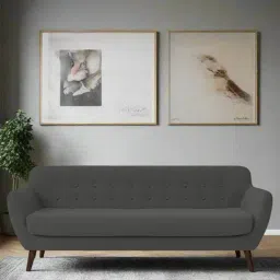 Febonic Stone Grey Neem Wood Goofy 3 Seater Sofa-image-18