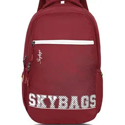 Skybags Teckie Pro Laptop Striped Backpack-20
