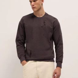 The Bear House Purple Regular Fit T-Shirt-image-97
