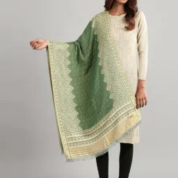 Aurelia Green Woven Pattern Shawl-picture-25