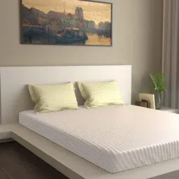 Mark Home Ivory 400 TC Premium Stripes Pillow - Set of 2-image-41
