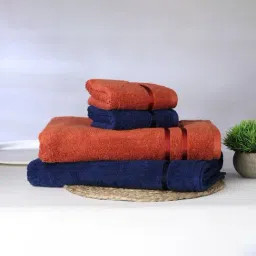 Spaces Atrium Self Red & Blue 500 GSM Cotton Towel Combo - Set of 4-2