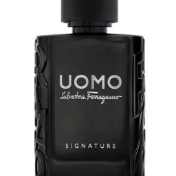 Salvatore Ferragamo Uomo Signature Eau de Parfum 100 ml for Men-23