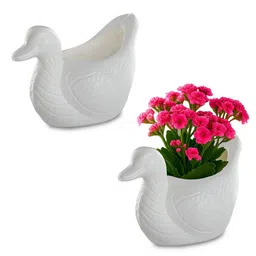 Kuber Industries White 2 Pieces Duck Textured Planters-11
