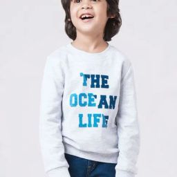 Ed-a-Mamma Kids Grey & Blue Cotton Printed Full Sleeves Sweatshirt-image-62