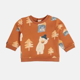 Miniklub Boys Brown Regular Fit Knitted Sweatshirt-picture-21