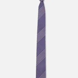 Peter England Blue Striped Tie-picture-26