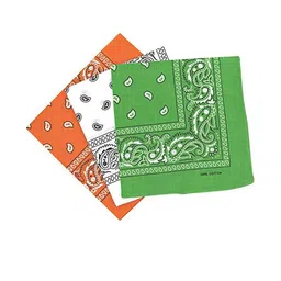 Aadikart Unisex Cotton Paisley Printed Scarves-image-94