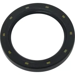 NOK φ170x200 mm TC Type Rubber Oil Seal, TC17020016-image-61