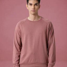 Rare Rabbit Pink Regular Fit Solid Sweatshirt-picture-39