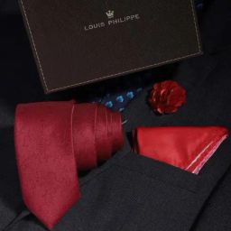 Louis Philippe Red Embroidered Tie with Pocket Square & Lapel Pin-picture-11