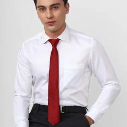 Louis Philippe Red Textured Tie-picture-27