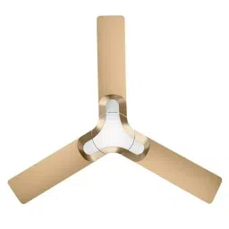 RR Signature LUMAIRE Ceiling Fan Champaign Gold 1200 mm Sweep 350 RPM-image-26