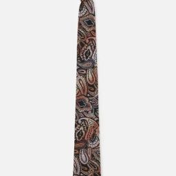Peter England Black & Orange Printed Tie-picture-21