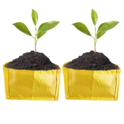 SINGHAL HDPE Plants Grow Bag Rectangular 18x12x12 inch Yellow (Pack of 2 Pcs)-5