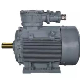 Bharat Bijlee Three Phase 2 HP 6 Pole Foot Mounted IE2 General Purpose Induction Motor, MD10L63300000-image-53