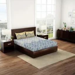 Spaces Grey & Beige Cotton 144 TC Queen Fitted Bedsheet With 2 Pillow Covers-image-63