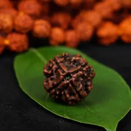 GenZcomplex 4 Mukhi Circular Rudraksha Pendant-image-42