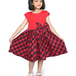 Zip Zap Zoop Girls Red Regular Fit Chequered Dress-image-21