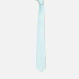 Peter England Blue Textured Tie-picture-4