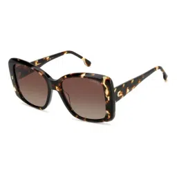 Carrera Brown UV Protection Square Sunglasses For Women-picture-18