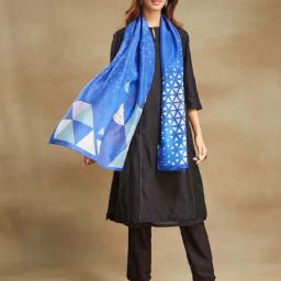 Fabindia Blue Printed Stole-picture-5