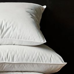 SHRNM White Feathers Filled Cotton Lightweight Pillow-image-32