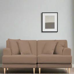 Febonic Wheat Beige Neem Wood 2 Seater Sofa-image-76
