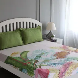 GMF White & Green Cotton 180 TC Bed Sheet Set-6