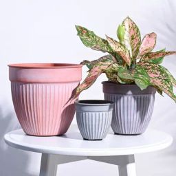 Ugaoo 3-Piece Multicolor Stainless Steel Ridge Heritage Planter Set-picture-36