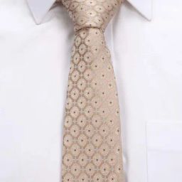 Van Heusen Beige Embroidered Tie image 2