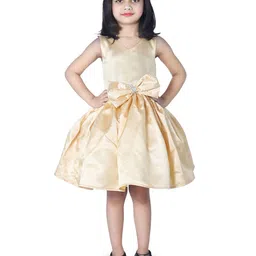 Wish little Girls V-Neck A-Line Knee Length Dress-image-54