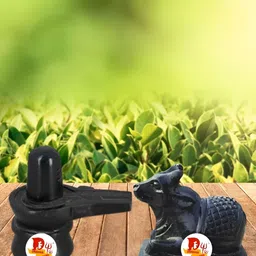 DARIDRA BHANJAN Black 2 Pieces Shivling and Nandi Statue Marble Religious Idol Showpiece-52