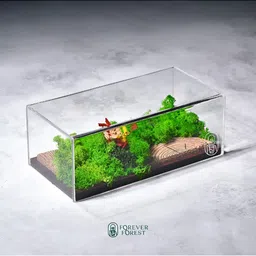 Bioq Green & Brown Terrarium Panorama With Real Preserved Moss & Flora-image-46