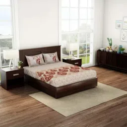 Spaces Brown Cotton 144 TC Queen Fitted Bedsheet With 2 Pillow Covers-image-42