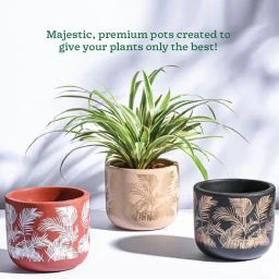 Ugaoo 3-Piece Multi Sienna Small Pot Set image 2