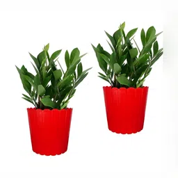 GARDEN'S NEED 2-Pcs Red Textured Planters-9